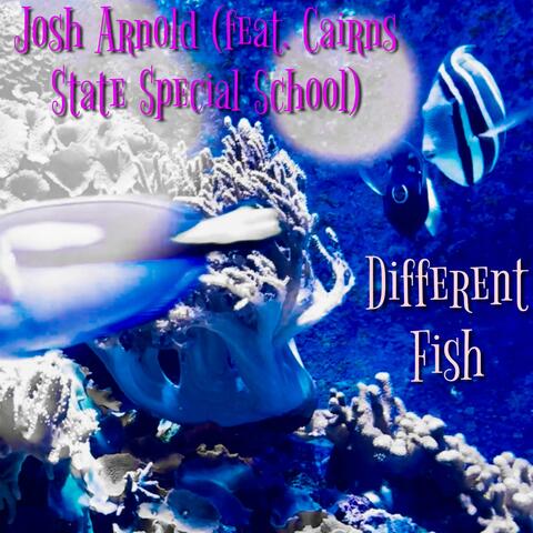 Different Fish (feat. Cairns State Special School)