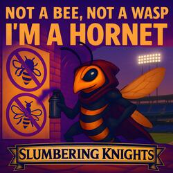 Not A Bee, Not A Wasp, I’m A Hornet