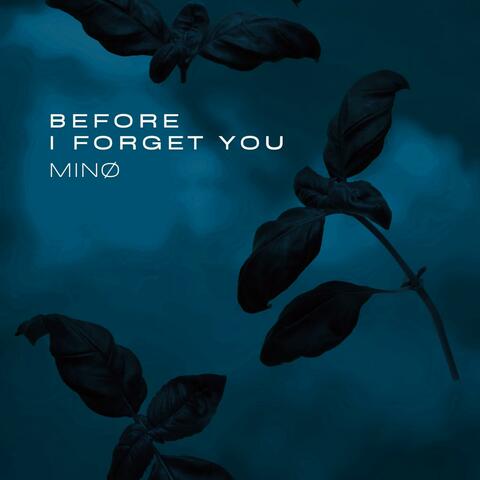 Before i forget you (Instrumental)