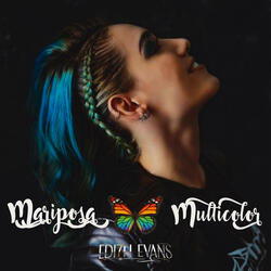Mariposa multicolor