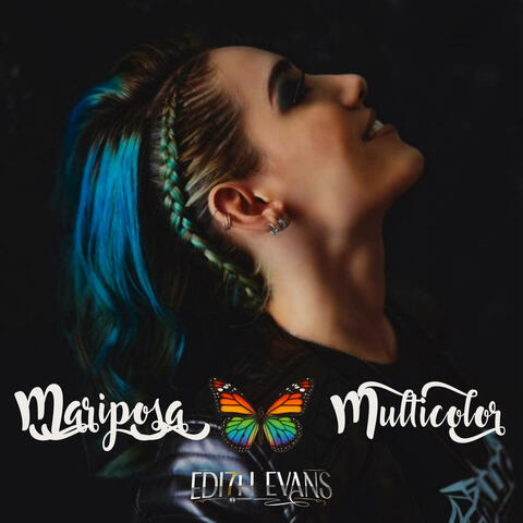 Mariposa multicolor