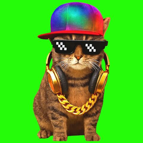 OIIA OIIA BANGER Spinning CAT