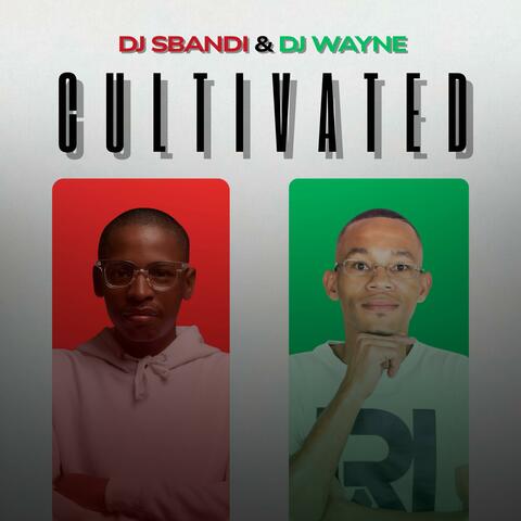 Cultivated (feat. Dj Wayne)