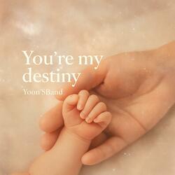You're my destiny