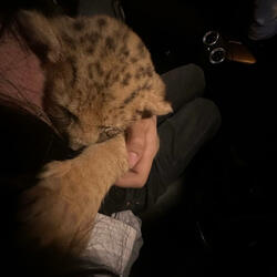 Dumperrr (feat. jah)