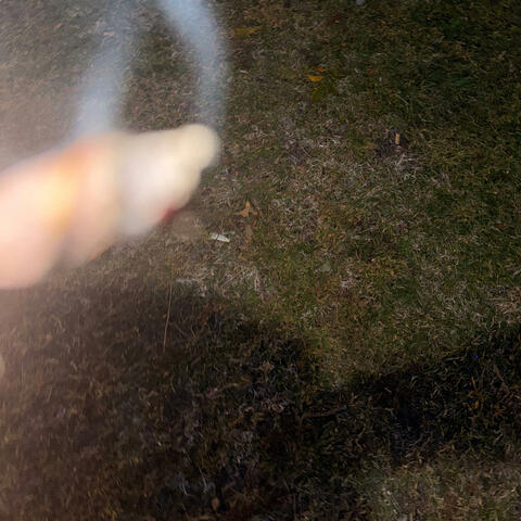 FLAVORS (feat. 103RO)