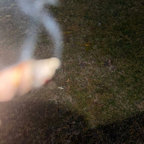 JUMPED OFF THE PORCH