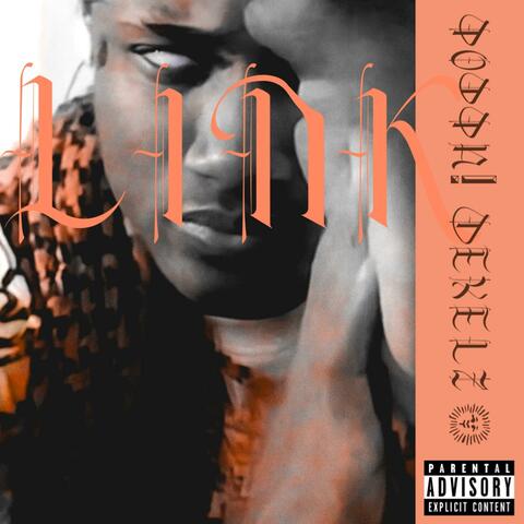 link (feat. dexelz)