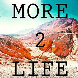 MORE 2 LIFE (Radio Edit)
