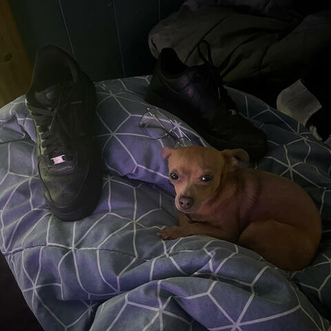 RIP SOPHIE (feat. SML Wok Daddy)