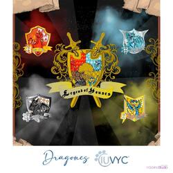 Dragones IUVYC