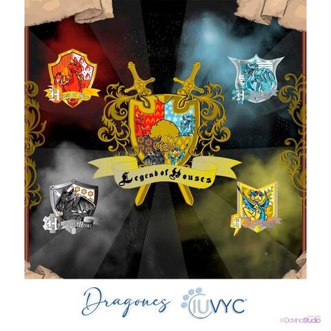 Dragones IUVYC