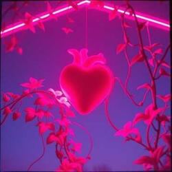 I'm Beggin (Club Version)