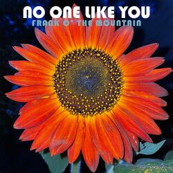 No One Like You