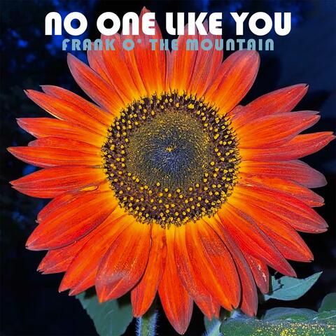 No One Like You