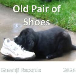 Old Pair of Shoes