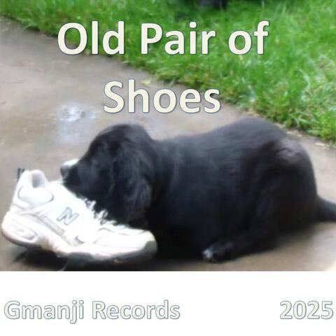 Old Pair of Shoes