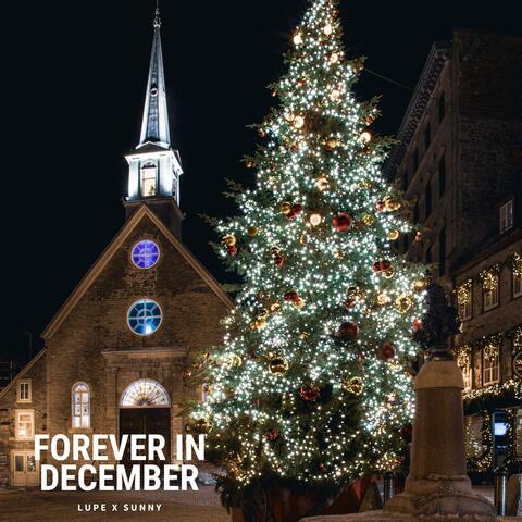 Forever In December