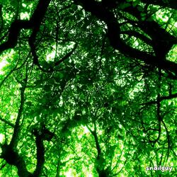 the fear of growing up