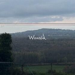 Wound