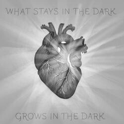 What Stays In The Dark, Grows In The Dark