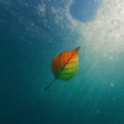 Can't Hold On Much Longer