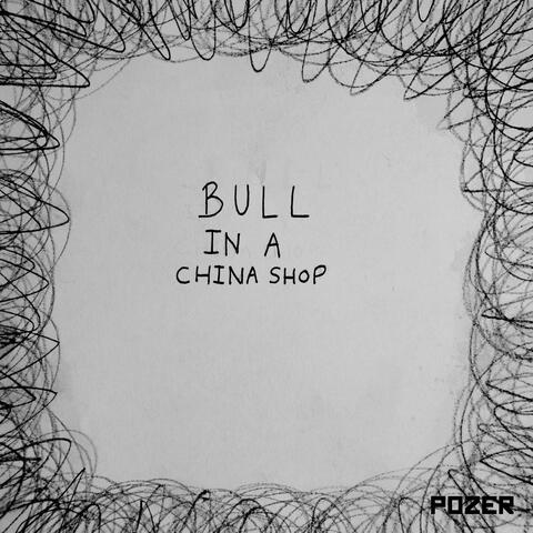 Bull in a China Shop