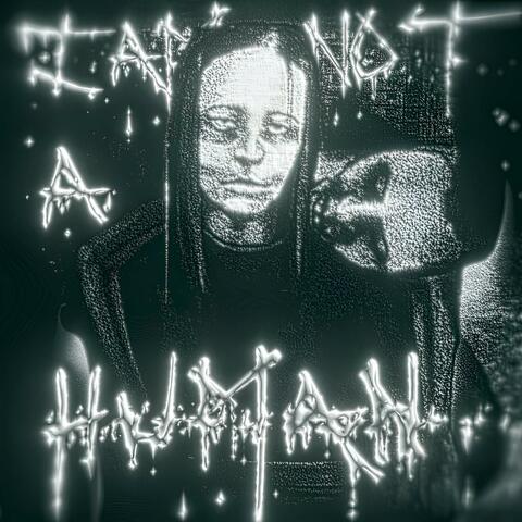 NO I'M NOT A HUMAN FUNK