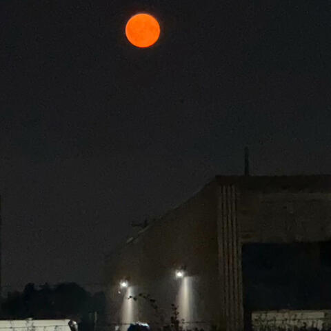 Under the Bleeding Moon.