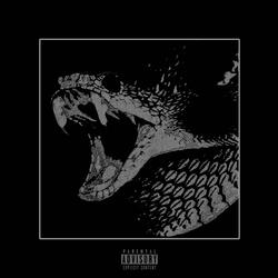 screams from amongst the afterlife