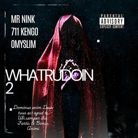 WHATRUDOIN2 (feat. 711 Kengo & omyslim)