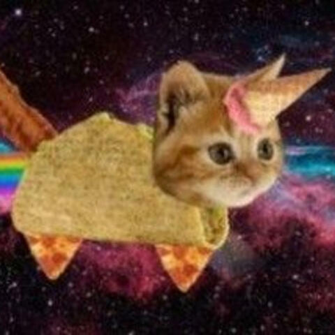 i had a title in mind then forgot it