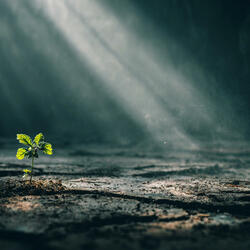 NEONBEATS - Light rays