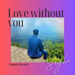 Love Without You