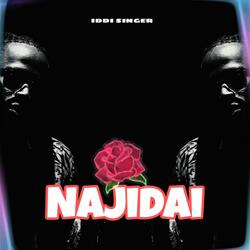 Najidai (feat. Landan Balla & Deliah Ipupa)
