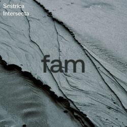 The wave (feat. Intersecta)