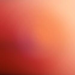 Something to Remember