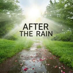 After The Rain