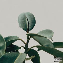 HII-BEAMS (feat. Graye)