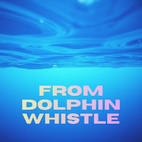 From Dolphin Whistle