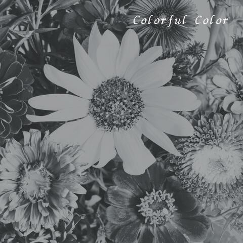 Colorful Color