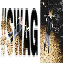 bitch (feat. tenshixgod)