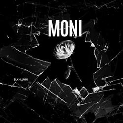 Moni _ Lumin