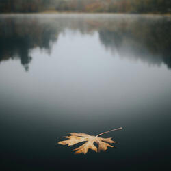 What Was I Made For?