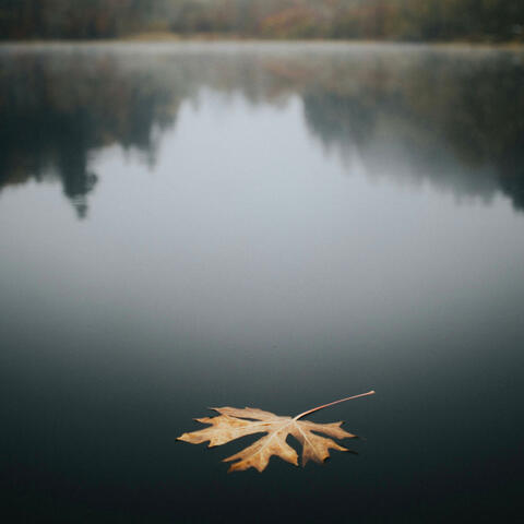 What Was I Made For?