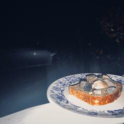 en brødskive med grus