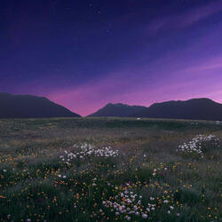 Here, There, and Everywhere