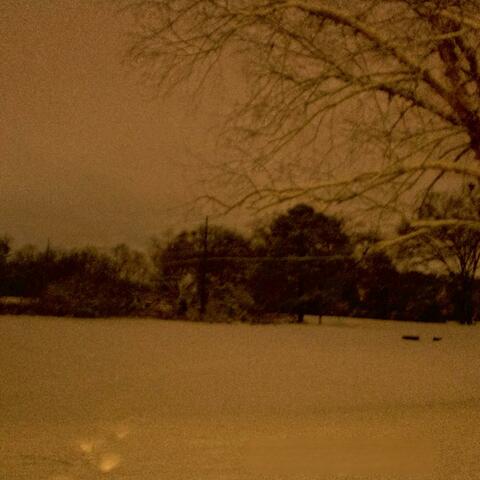 leave the light on (Pt. VIII)