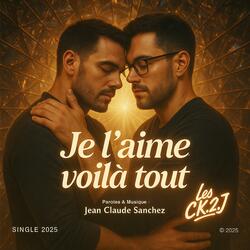 Je l'aime voilà tout
