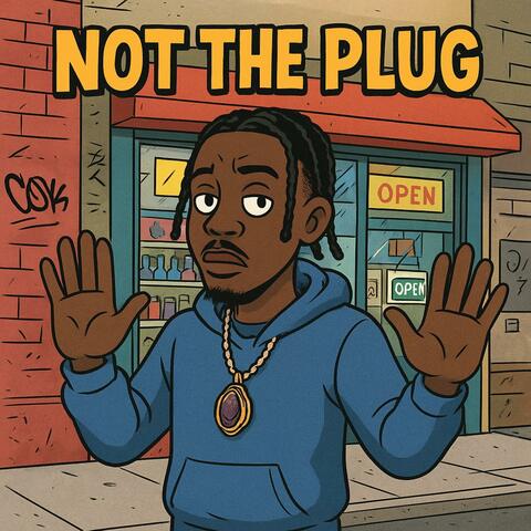 Not the plug